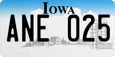 IA license plate ANE025