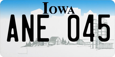 IA license plate ANE045