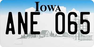 IA license plate ANE065