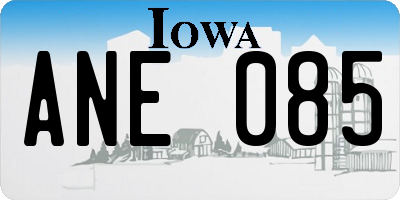 IA license plate ANE085