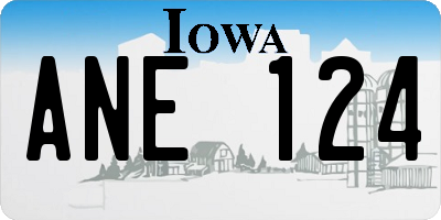 IA license plate ANE124