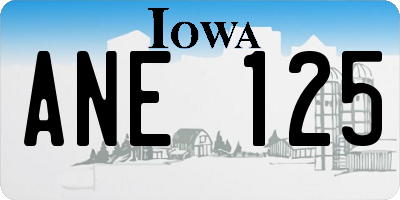 IA license plate ANE125