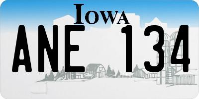 IA license plate ANE134