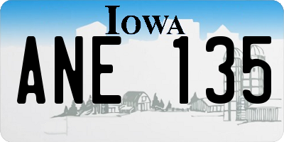 IA license plate ANE135