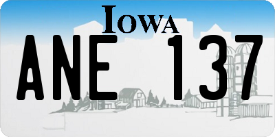 IA license plate ANE137