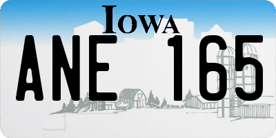IA license plate ANE165