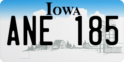 IA license plate ANE185