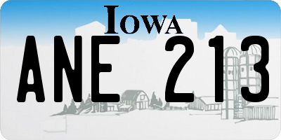 IA license plate ANE213