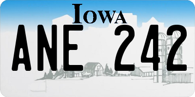 IA license plate ANE242