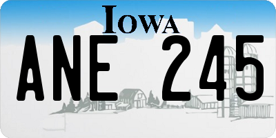 IA license plate ANE245