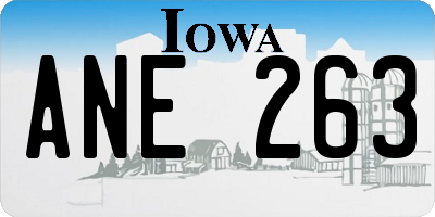 IA license plate ANE263