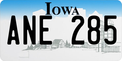 IA license plate ANE285