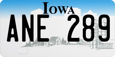 IA license plate ANE289