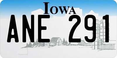 IA license plate ANE291