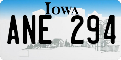 IA license plate ANE294