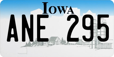 IA license plate ANE295