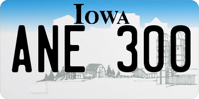 IA license plate ANE300