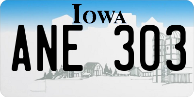IA license plate ANE303