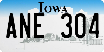 IA license plate ANE304