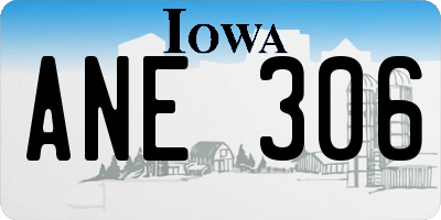 IA license plate ANE306