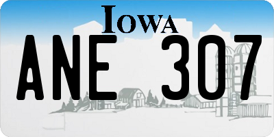IA license plate ANE307