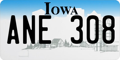 IA license plate ANE308