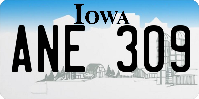 IA license plate ANE309
