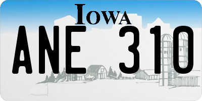 IA license plate ANE310