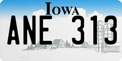 IA license plate ANE313