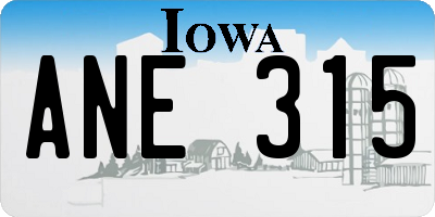 IA license plate ANE315