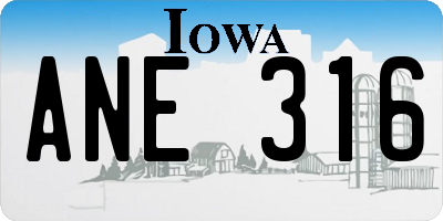 IA license plate ANE316