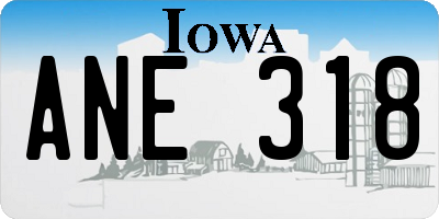 IA license plate ANE318