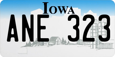IA license plate ANE323