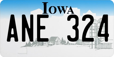 IA license plate ANE324