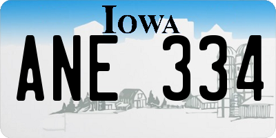 IA license plate ANE334