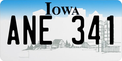 IA license plate ANE341