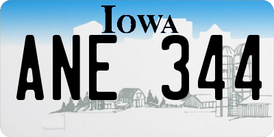 IA license plate ANE344