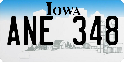 IA license plate ANE348