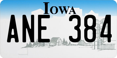 IA license plate ANE384