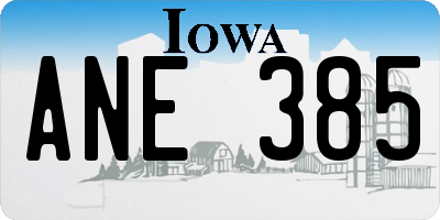 IA license plate ANE385