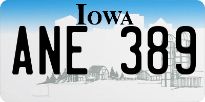 IA license plate ANE389