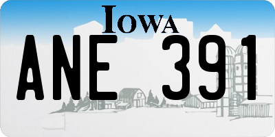 IA license plate ANE391