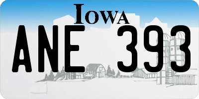 IA license plate ANE393