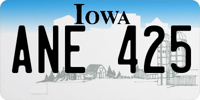 IA license plate ANE425