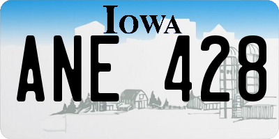 IA license plate ANE428