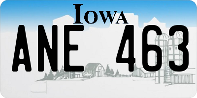 IA license plate ANE463
