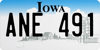 IA license plate ANE491