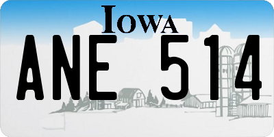 IA license plate ANE514