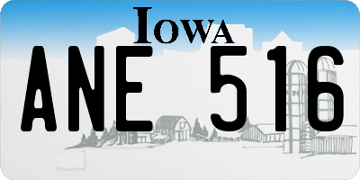 IA license plate ANE516