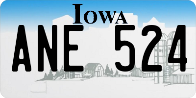 IA license plate ANE524